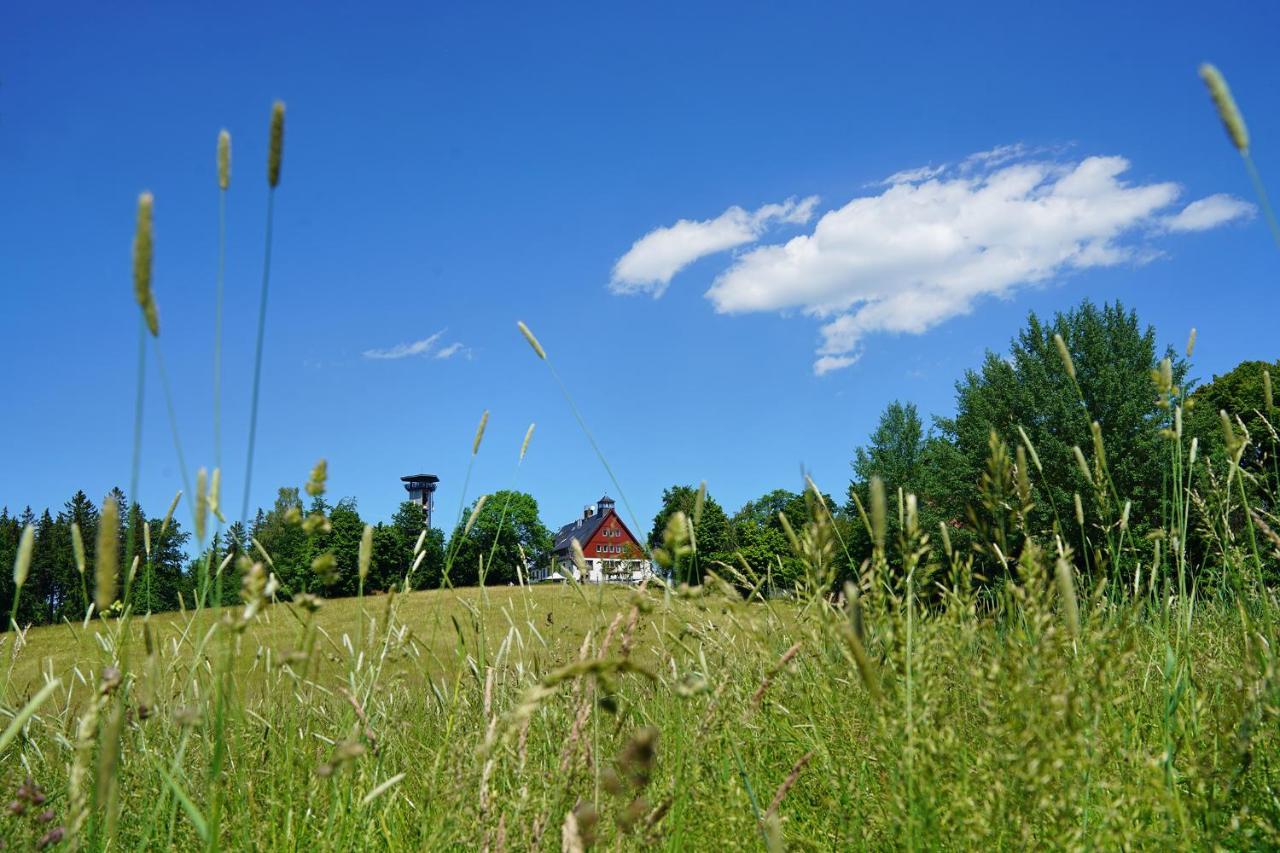 Hotel Und Restaurant Buehlhaus Eibenstock Exteriör bild
